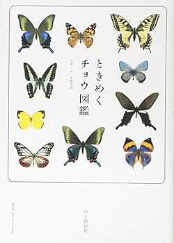 蝶図鑑☆アキリデス☆アルバム 1988年発行 完全手作り限定資料集②冊セット貴重 蝶図鑑☆アキリデス☆アルバム 1988年発行 完全手作り限定資料集②冊